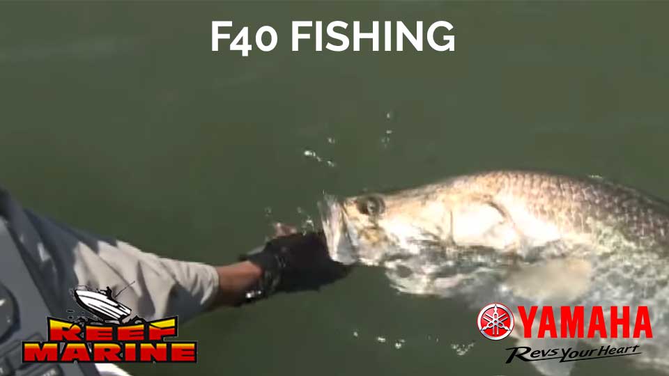 Yamaha F40 Fishing Video